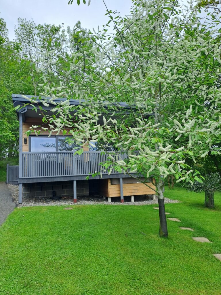 Whitebeam Lodge @ Flowery Dell Lodges