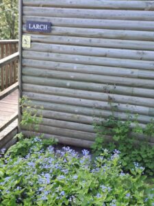 Larch Lodge @ flowery dell lodges